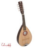Mandolin